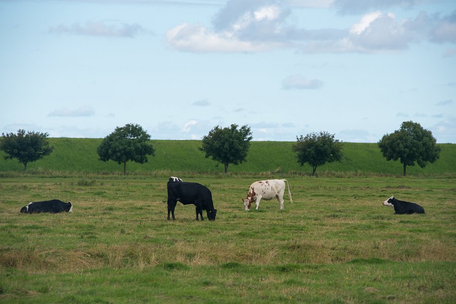 Danmark-1043