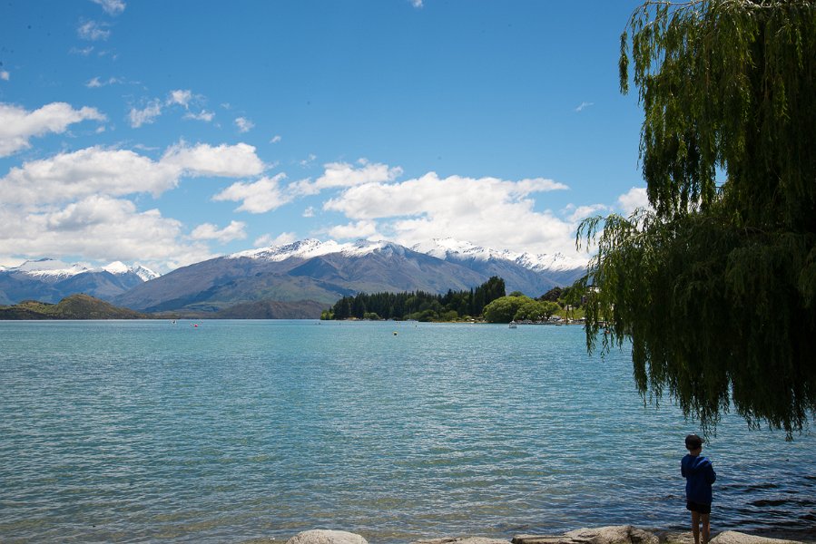 NewZealand-442