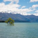 NewZealand-436